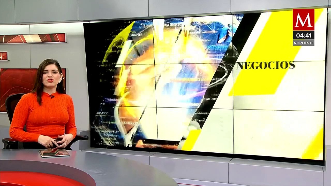 IDEI queda incapacitada para cumplir deudas con proveedores, no puede vender por falta de permisos