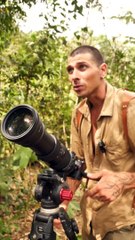 Partez à la découverte du TOUCAN !