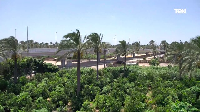 طوله 600 متر.. أبرز المعلومات عن كوبري مزلقان الصيرفي برشيد