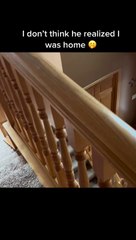 Un chien pense être seul à la maison