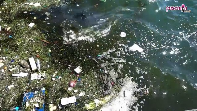 Karton bardaktaki sinsi tehlikeye dikkat! Karton bardak ne kadar sağlıklı?