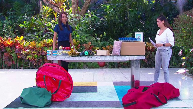 bd-recomendaciones-practicas-para-guardar-la-decoracion-navideña-050124