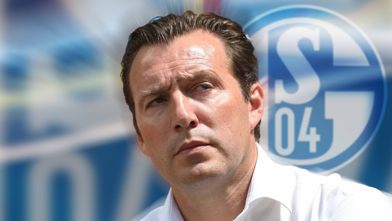 'Nur das Gesicht?': Was Wilmots' neue Rolle für Schalke bedeutet