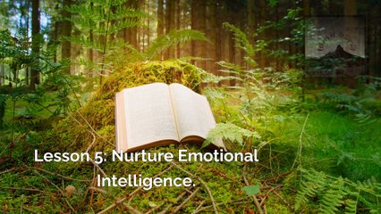 How I Found Wisdom: Aristotle's Teachings