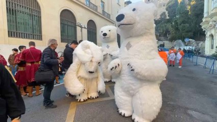 Osos en Málaga 🐻