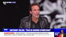 Anthony Delon sur l'héritage d'Alain Delon: 