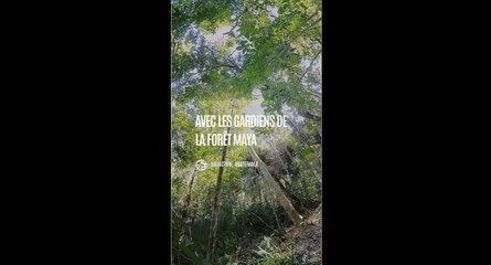 Guatemala : reportage avec les gardiens de la forêt maya