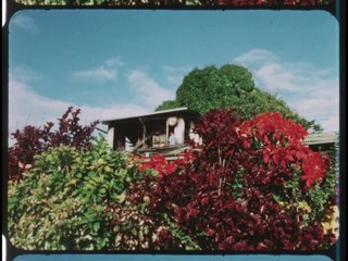 ABC Discovery 69 Returns to Hawaii with Bill Owen and Virginia Gibson