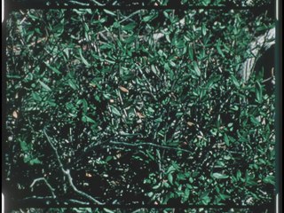 ABC DISCOVERY 71 The Land of the Flaming Gorge' with Bill Owen and Virginia Gibson