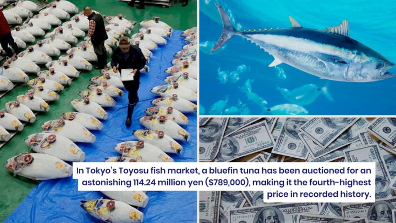 Tuna Sells For Record-Breaking $789K In Tokyo, Buyer Says, 'I'd Been Feeling That The Economy Was Getting Better'
