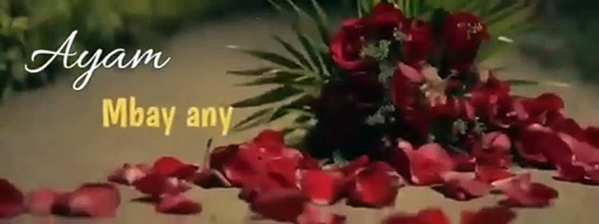 Ayam - Mbay any - 2023