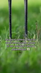 Aïe  J’avais comme résolution d’arrêter les achats impulsifs… 