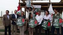 Perú afirma que desplazó a Colombia y Brasil como líder mundial en diversidad de aves