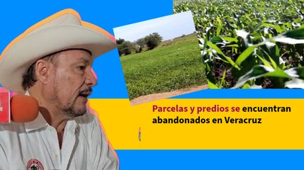 Delincuencia perjudica a productores del campo mexicano: CNC