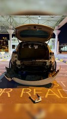 Sharjah Customs bust trafficking attempt