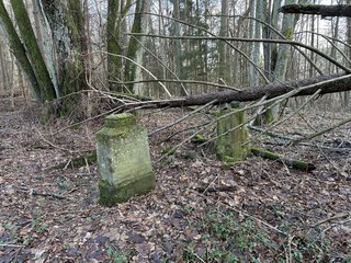 Znikają ślady dawnej osady Hammer koło Miastka