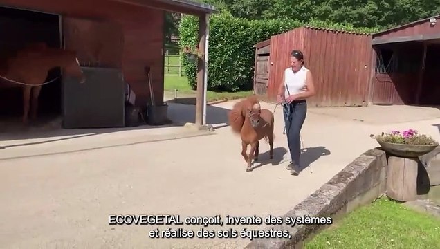 ECO-ECURIE : sols équestres et écuries actives