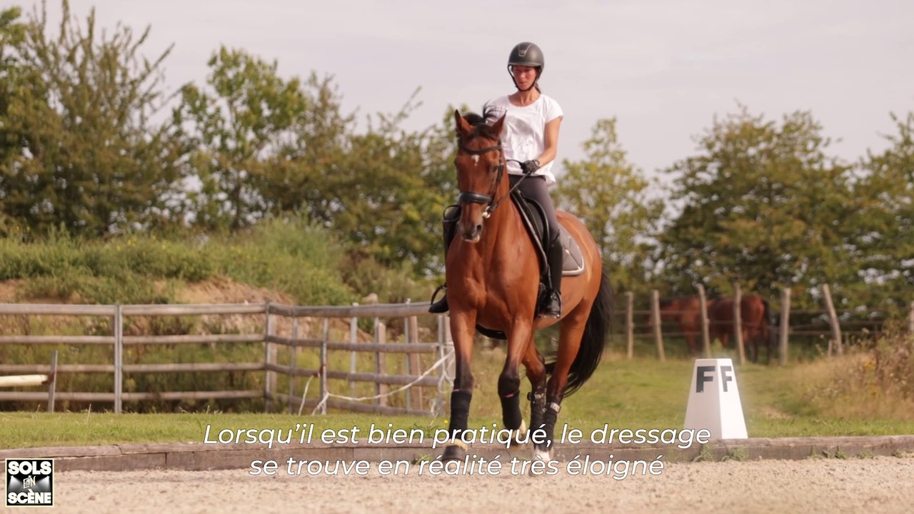 SOLS EN SCENE : Sol équestre d'une carrière de dressage
