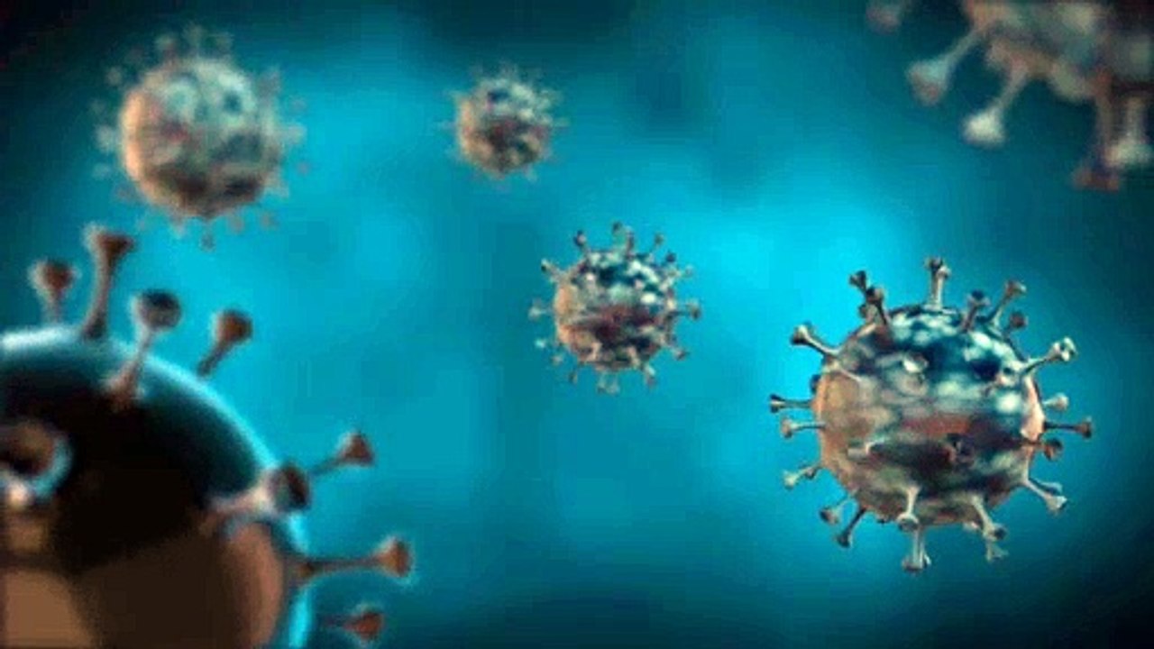 Coronavirus