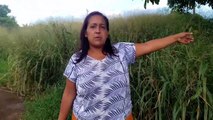Cobra Jararaca ataca criança no Floresta e matagal preocupa moradores