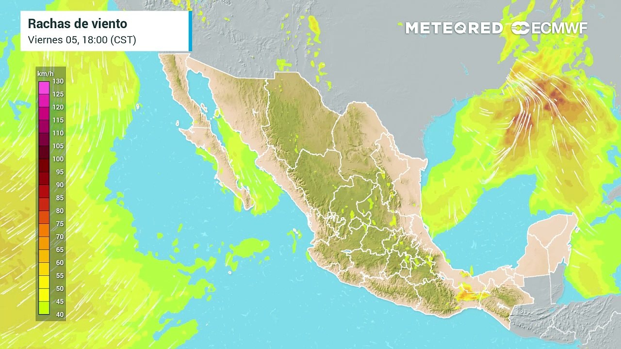 Frente frío 24