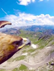 The sky is the limit - Nevergive up