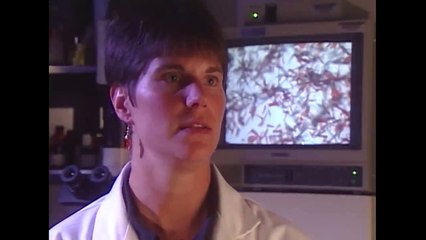 Les Infirmiers Psychopathes Tueurs _ Nouveaux Détectives _ True Crime Stories