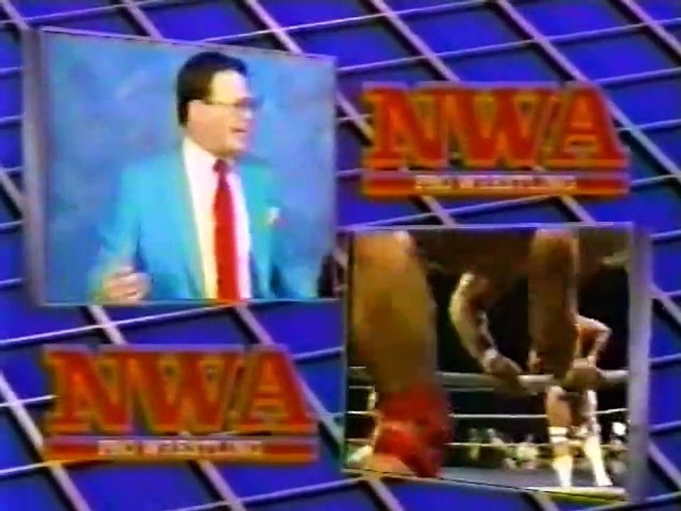 WCW PRO 4-28-90
