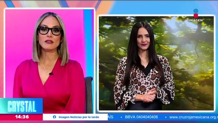 Solicitamos su ayuda para localizar a Juana Ortega y a su hijo Jorge Yared