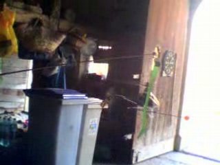 2eme vol belt cp dans la grange a l'abris du vent