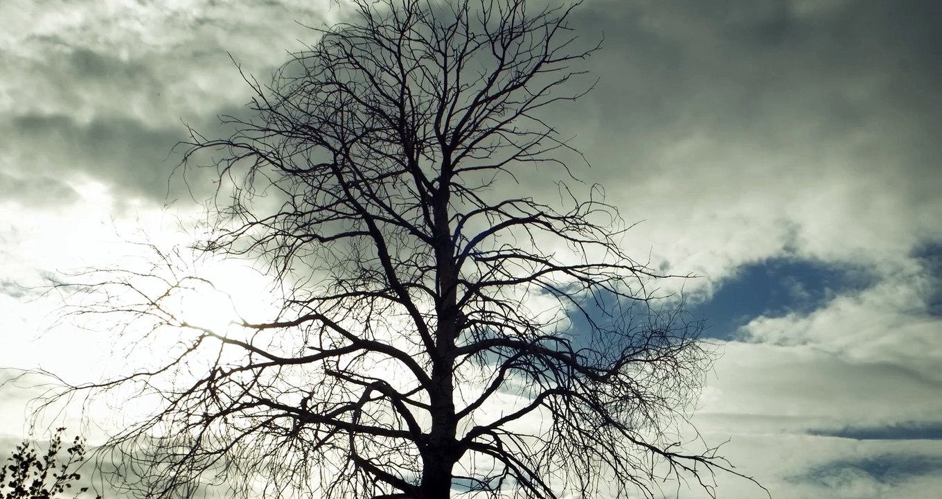 Nytt Land - Ohne Dich (Rammstein cover) official video