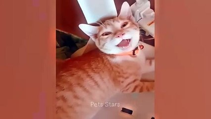 CD6#ytshortsindia morsomt haha #comedys #babs #comedyshorts #cuteanimals #ytshortsindia​​​ #cutebaby #comdy #comedys #babs #comedyshorts #cuteanimalsytshortsindia #ytshortsindia 有趣哈哈 #cutebaby #comdycomedys #ba# Comedyshorts #cuteanimals#ytshortsindia#yts