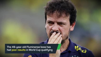 Breaking News: Brazil set to sack coach Diniz