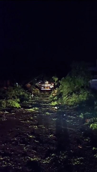 Chuva em Maringá causa queda de árvores, derruba postes e deixa região sem energia