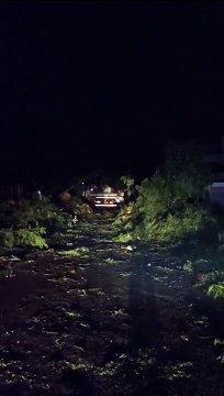 Chuva em Maringá causa queda de árvores, derruba postes e deixa região sem energia