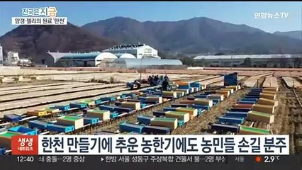 경남 밀양의 '한천' 아시나요…추운 겨울 농민들 소득증대에 효자