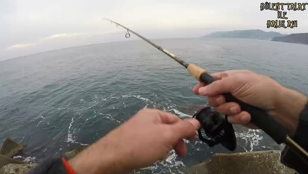 Fishing Videos with Bülent Talay (20)