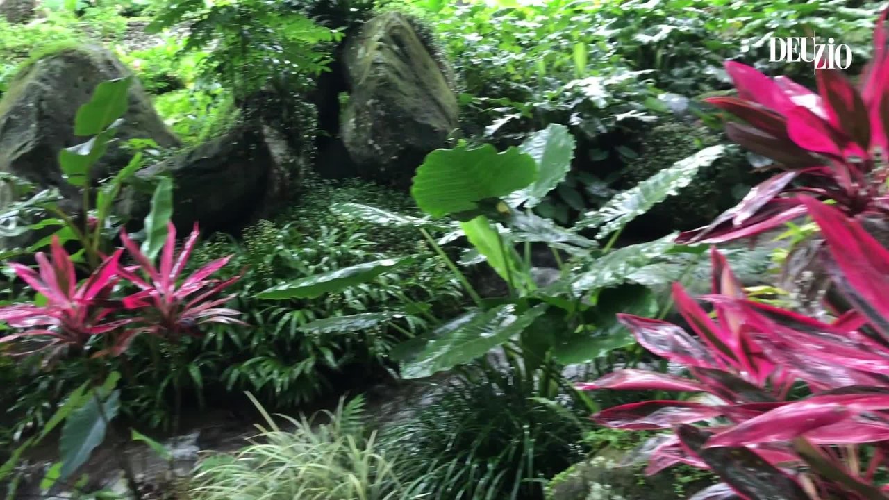 La Martinique se met au vert