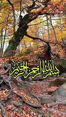 Eman Afrooz waqia | hazrat Imam Abu hanifa Aur Athiest Ka Manazra | Weird Stories #weirdstories