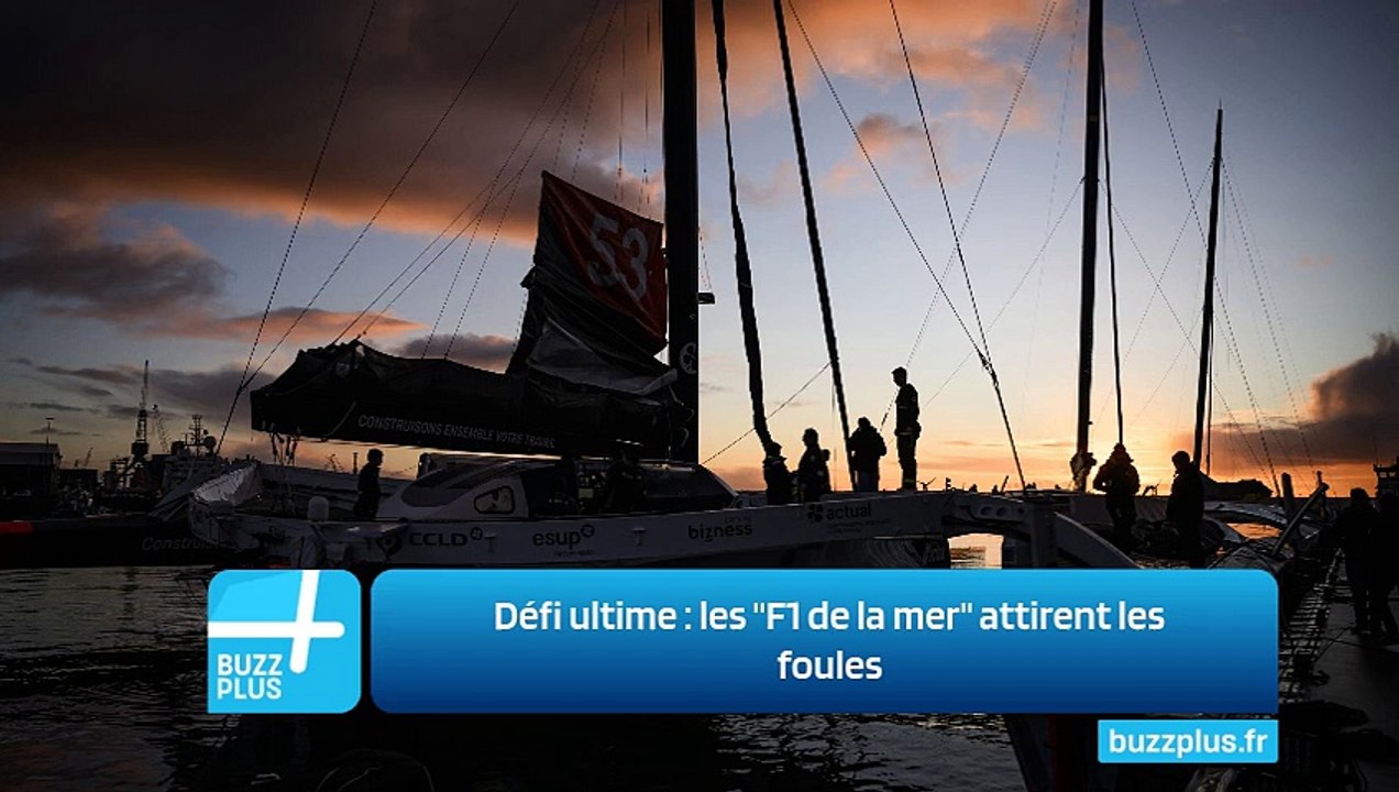 Défi ultime : les "F1 de la mer" attirent les foules