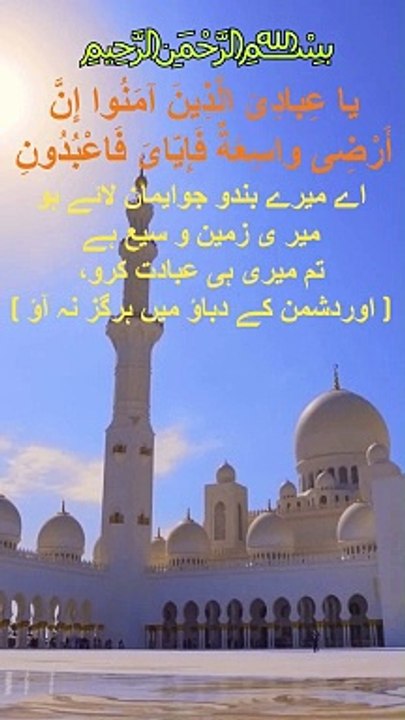 Surah Ankaboot ayat56,57 | Weird Stories | #islamic Video #weirdstories