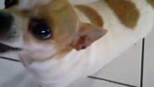 VID_20130706_073856