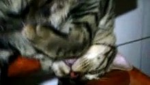 VID_20130706_220630