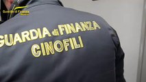 Messina, arrestato corriere della droga