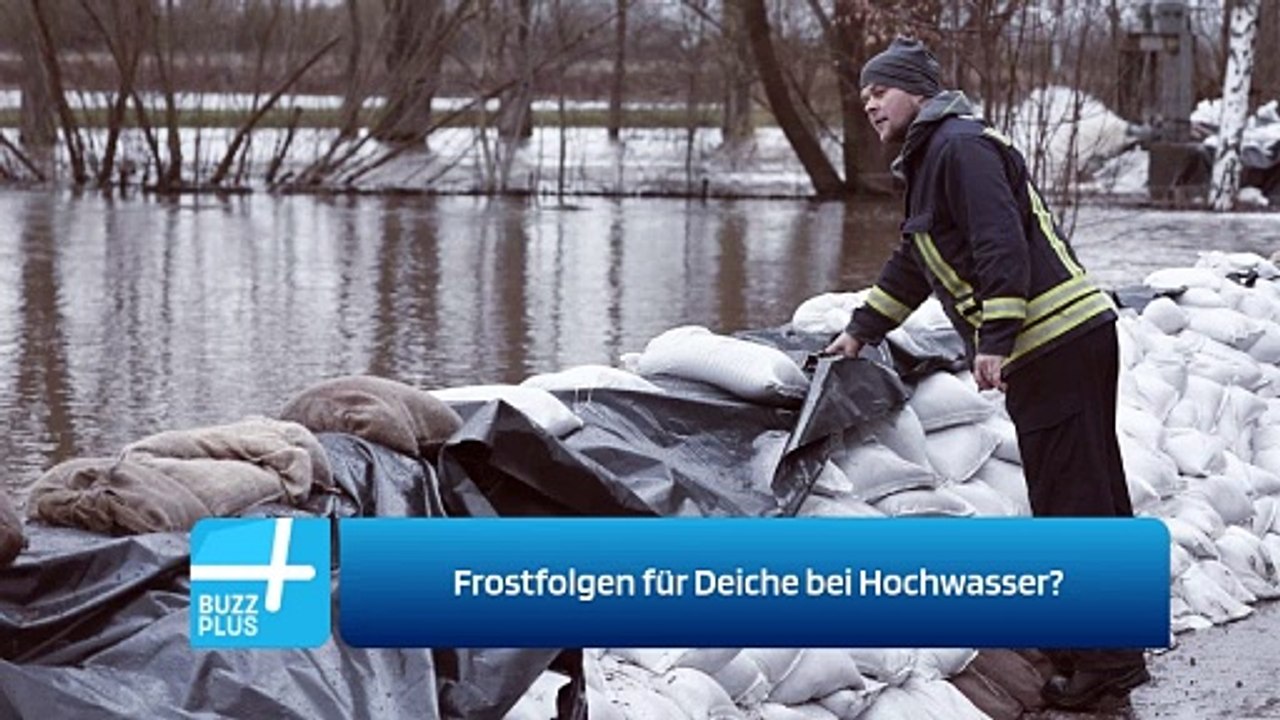 Frostfolgen für Deiche bei Hochwasser?