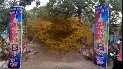 আপনি খেলেই বিয়ে হবে! সঙ্গীকে নিয়ে যাবেন নাকি 'ব্যাচেলর বিরিয়ানি'র ঠেকে?   | Oneindia Bengali