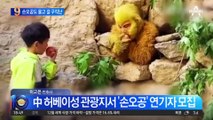 월급 약 110만 원…中 ‘동굴 속 손오공’ 모집 논란