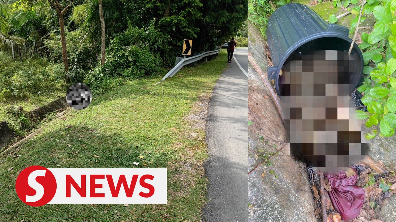 Woman's body found dismembered in garbage bin in Melaka