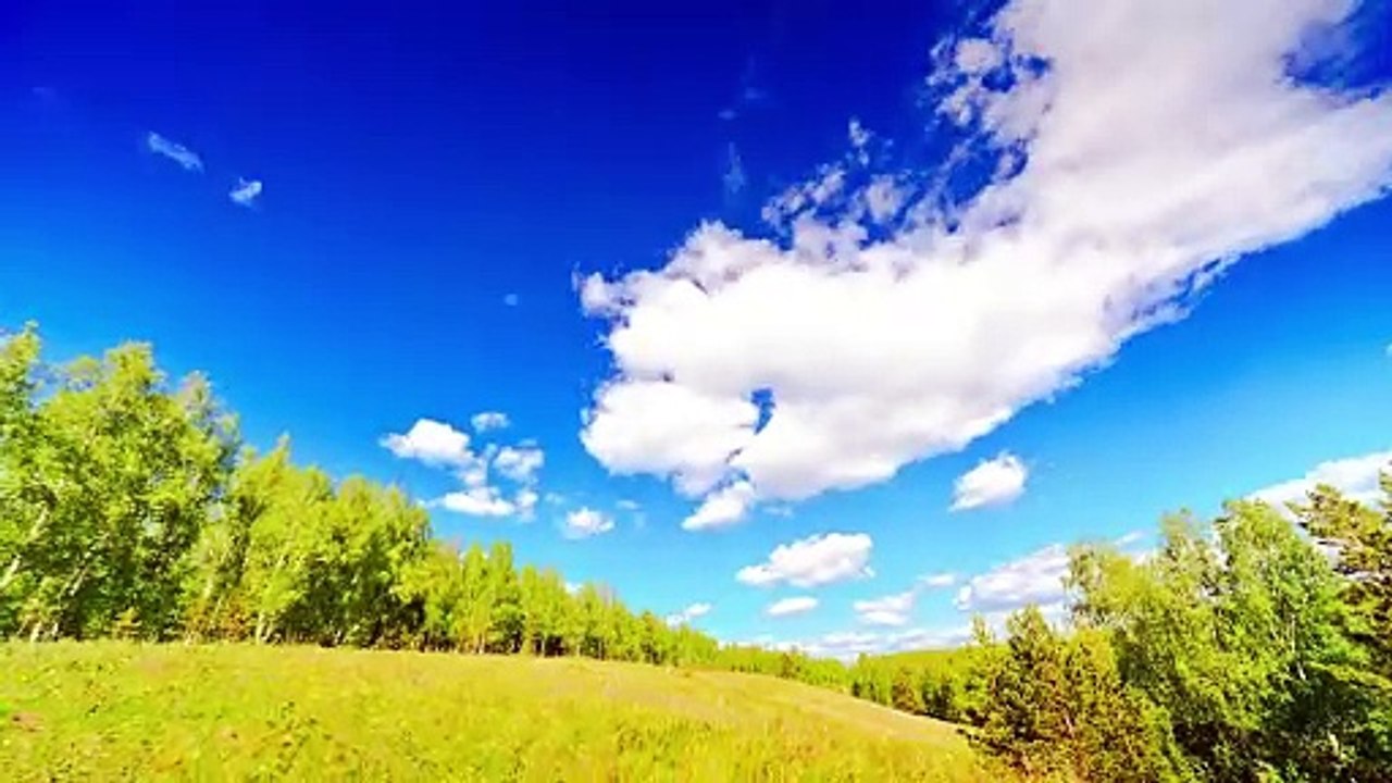 Einführungsvideo von VisionVogel.de