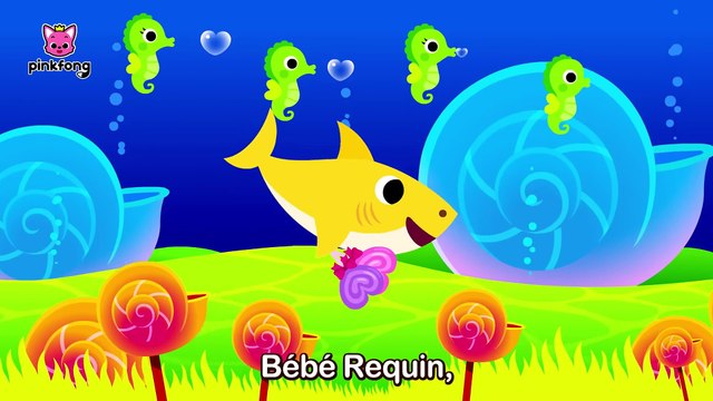 Baby Shark français - Tous les Chansons +Comptines Pinkfong, Bébé Requin ! Chansons pour Enfants